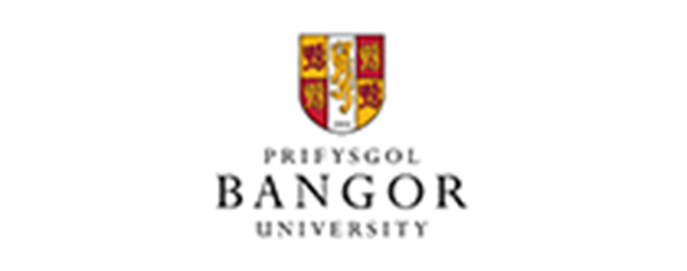 Bangor university-Wendyprompt